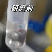 必看！全自動浸入式液氮冷凍研磨儀高效研磨小鼠肝臟提取DNA實操指南