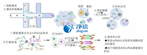 中國(guó)人自己的單細(xì)胞測(cè)序儀來(lái)了！